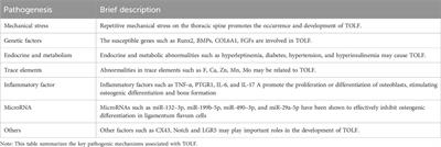 Pathogenesis of thoracic ossification of the ligamentum flavum